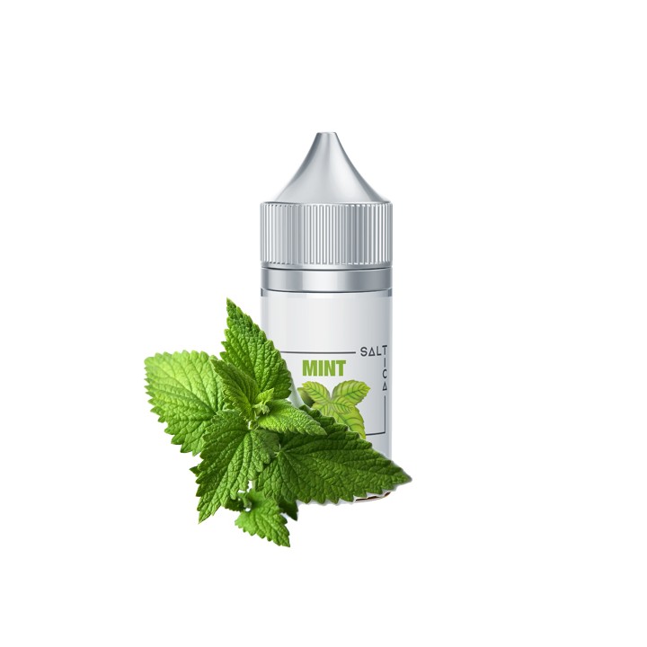 Saltica Mint Salt Likit şişe, taze nane yaprakları görseli.