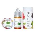 Saltica Spearmint Salt Likit | Saltica Saltica Likit