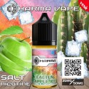 Dharma Cactus Apple Ice Salt Likit
